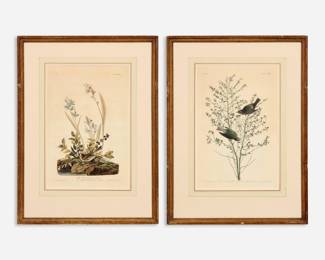 Lot 172: John James Audubon Pr. "Birds of America" Engravings, Havell (1st Ed., ca. 1833)