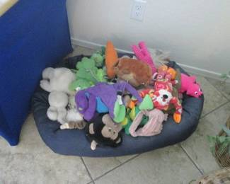 Dog Bed & Toys