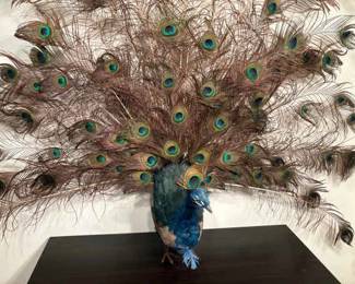 Peacock Decor