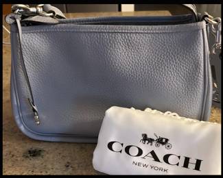 Coach Handbag with Dust Cover