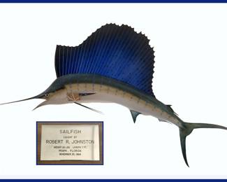7 Ft 43 Lb Sailfish Caught in 1964
