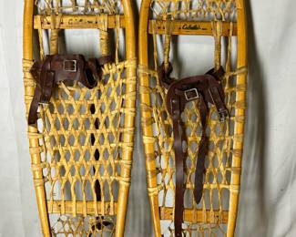 Snow shoes