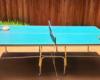 Ping Pong Table