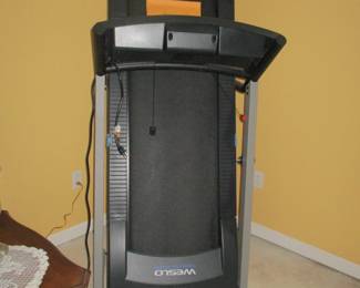 Treadmill walker