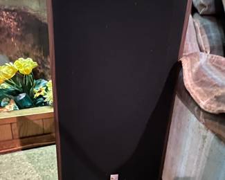 Cerwin Vega speakers (only one photographed)