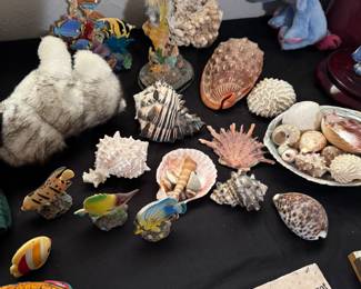 Seashells