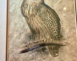 Eagle Owl perched