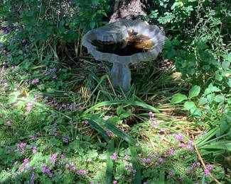 Bird bath