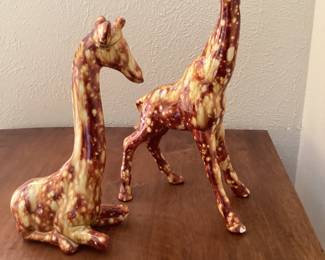 Those are long neck giraffes