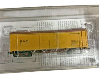 MicroTrains RGS 2101 Model Train Car
