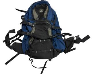 Eagle Creek Backpack