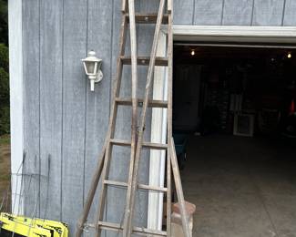Vintage apple orchard ladder.