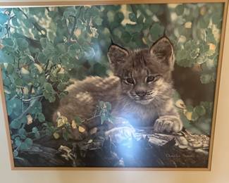 Charles Frace Hideaway Lynx Cub