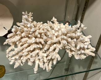 coral