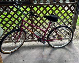 Giant bike