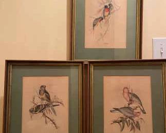 J Gould Bird Prints