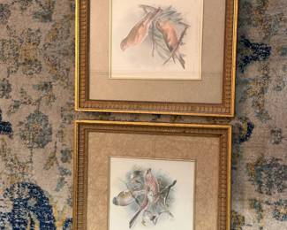Art Prints