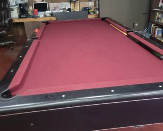 Pool and Ping Pong Table