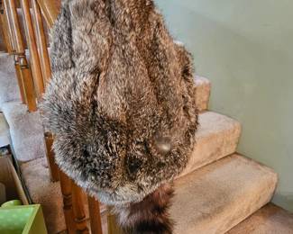 Raccoon hat