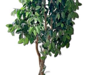 6ft Tall Artificial Tree w Floral Chinoiserie Porcelain Planter