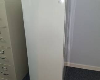 slim line upright freezer