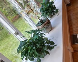 plants and planters