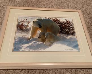 Thomas Mangelsen Artwork