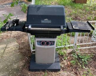 Great Outdoors Propane Grill with Igniter
