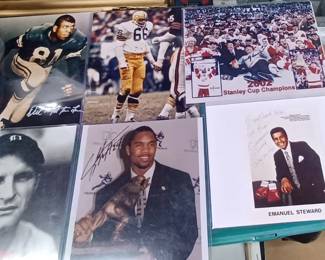 redwings, detroit tigers, university of michigan signatures