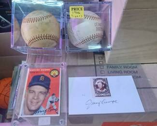 tiger team balls