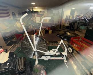 Schwinn Airdyne AD7 Bike