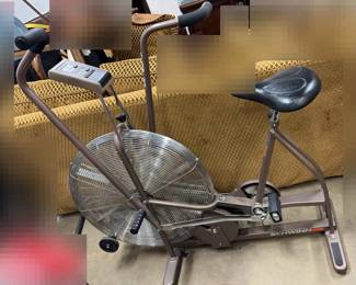 Schwinn Airdyne Stationary Bike