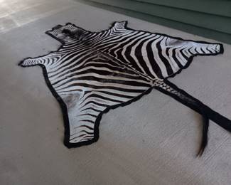$350. 10’6” x 6’ authentic zebra pelt rug with felt backing