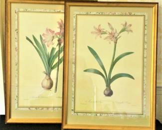 Pair of Vintage Botanicals