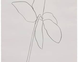 17
Ellsworth Kelly
1923-2015
"Cyclamen IV," from "Suite of Plant Lithographs," 1964-65
Lithograph on BFK Rives paper
Edition: 25/75 (there were also 10 artist's proofs)
Signed and numbered in pencil in the lower margin: Kelly; titled and inscribed "#8" in pencil on the verso of the lower right margin corner; Maeght Imprimerie, Levallois-Perret, prntr.; Maeght Éditeur, Paris, pub.
Image: 26.5" H x 15.75" W (irreg.); Sheet: 35.25" H x 24.25" W
Estimate: $6,000 - $8,000