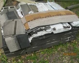 SHINGLES
