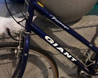 Giant Bike