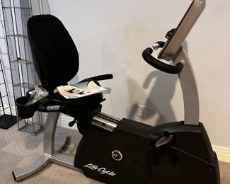 Recumbent Bicycle