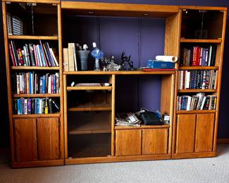 Entertainment unit
