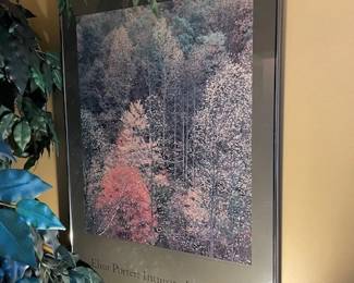 Gorgeous Art Framed and Unframed throughout the house
