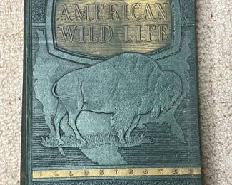 American Wildlife Illustrated