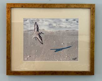 Framed/Matted Contemporary Art of Bird and Beach by Zenner/2012