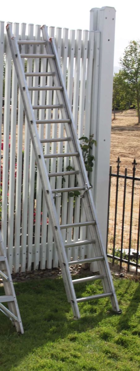 10 FT EXTENSION LADDER - $50