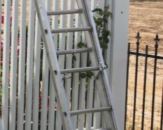 10 FT EXTENSION LADDER - $50