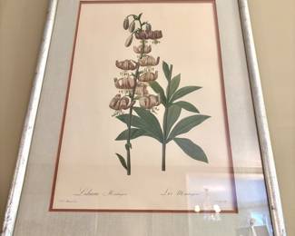 $120; Pierre Joseph Redoute print " Lilium Marathon" in silver frame and linen mat; 21x28 (2 coordinating prints also for sale)