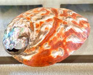SOLD; abalone shell; 8"x6"