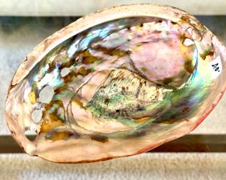 SOLD; abalone shell; 8"x6"; interior view