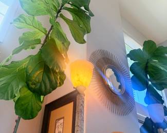 2 super tall and happle fiddle leaf plants in gorgeous pots!