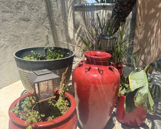 Red pots and plants