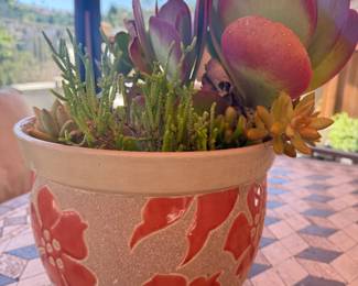 Burnt orange polished terracotta with red succulent